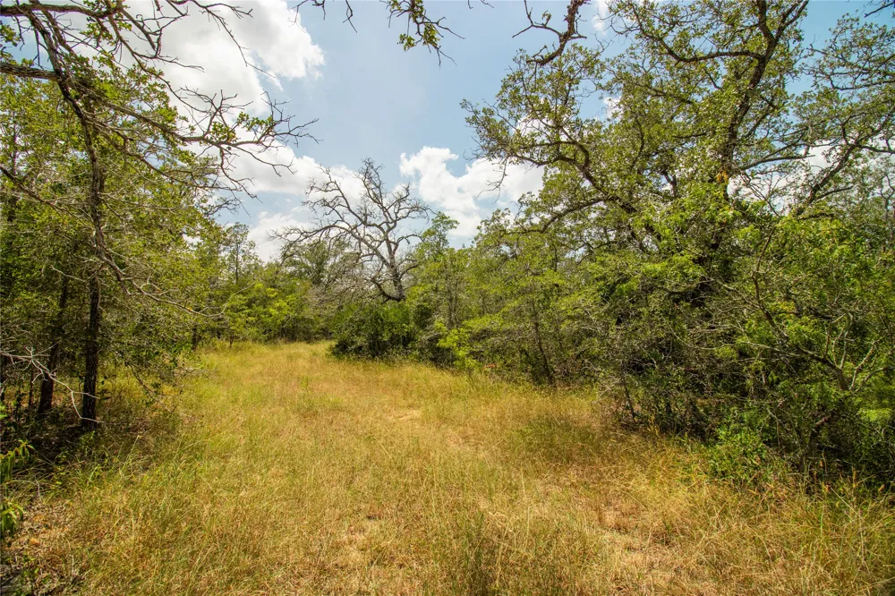9057 Sycamore Shade Lane Kingsbury, TX 78155