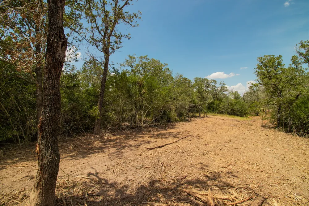 9057 Sycamore Shade Lane Kingsbury, TX 78155