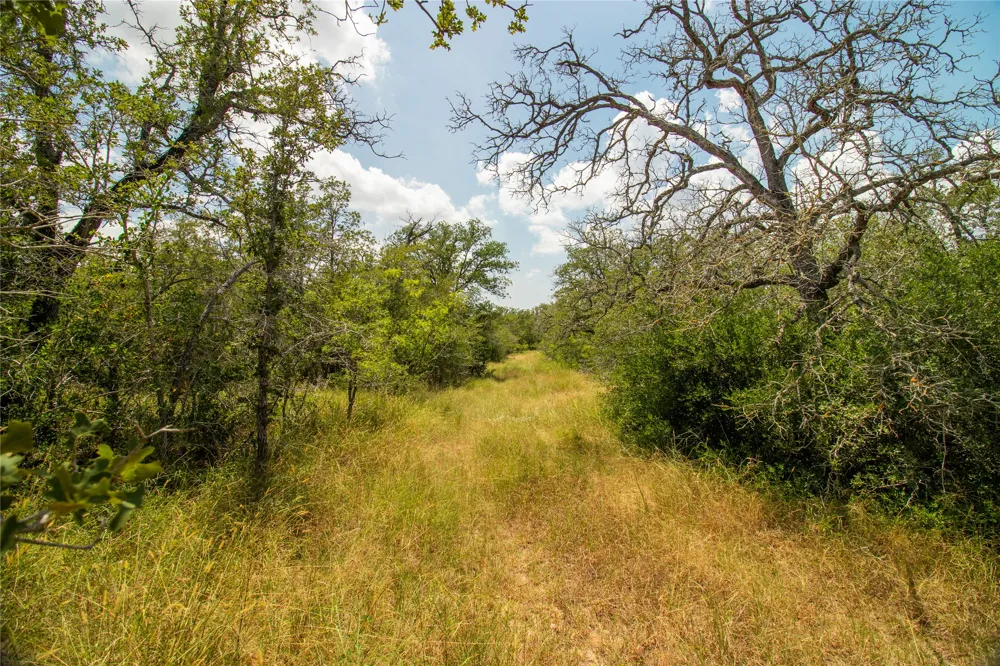 9057 Sycamore Shade Lane Kingsbury, TX 78155