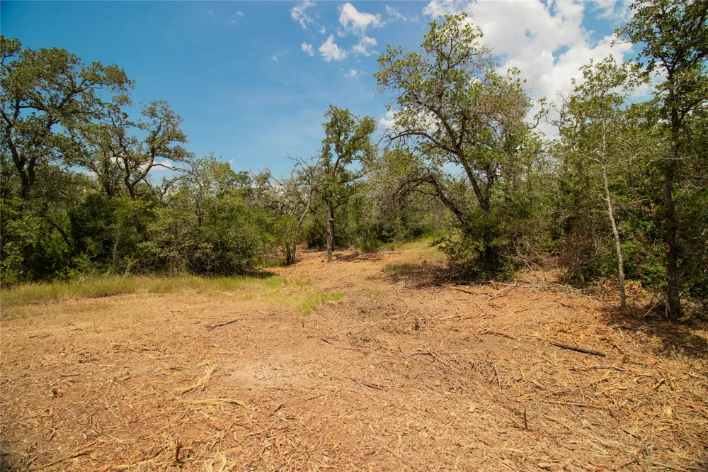 9057 Sycamore Shade Lane Kingsbury, TX 78155