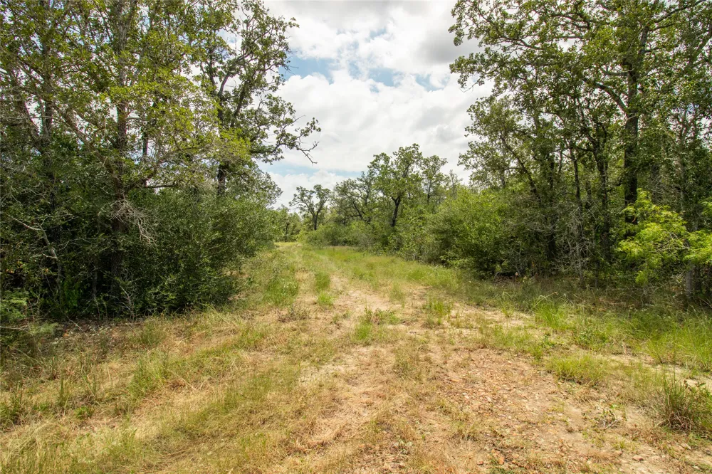 9057 Sycamore Shade Lane Kingsbury, TX 78155