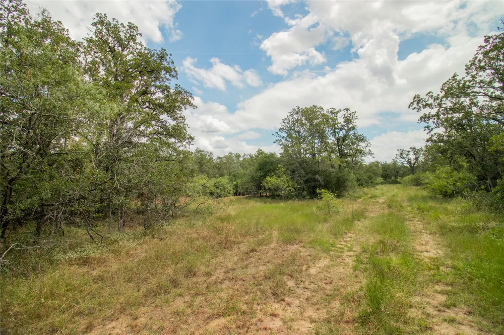9057 Sycamore Shade Lane Kingsbury, TX 78155