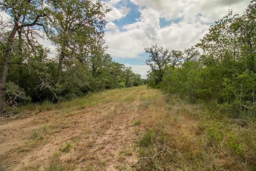 9057 Sycamore Shade Lane Kingsbury, TX 78155