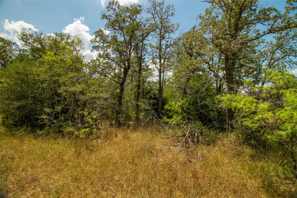 9057 Sycamore Shade Lane Kingsbury, TX 78155