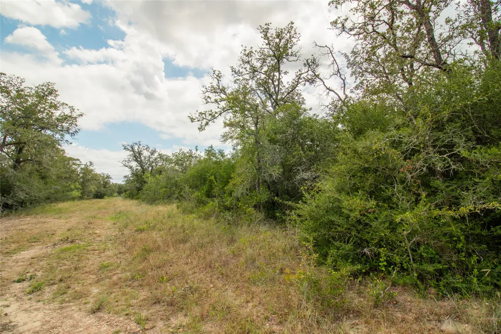 9057 Sycamore Shade Lane Kingsbury, TX 78155