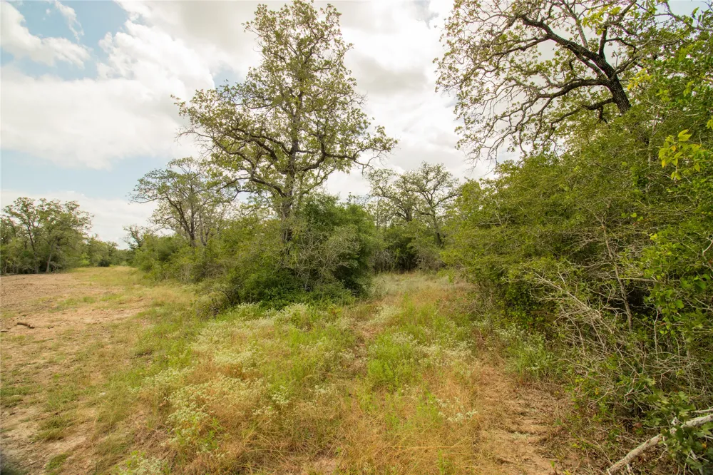 9057 Sycamore Shade Lane Kingsbury, TX 78155
