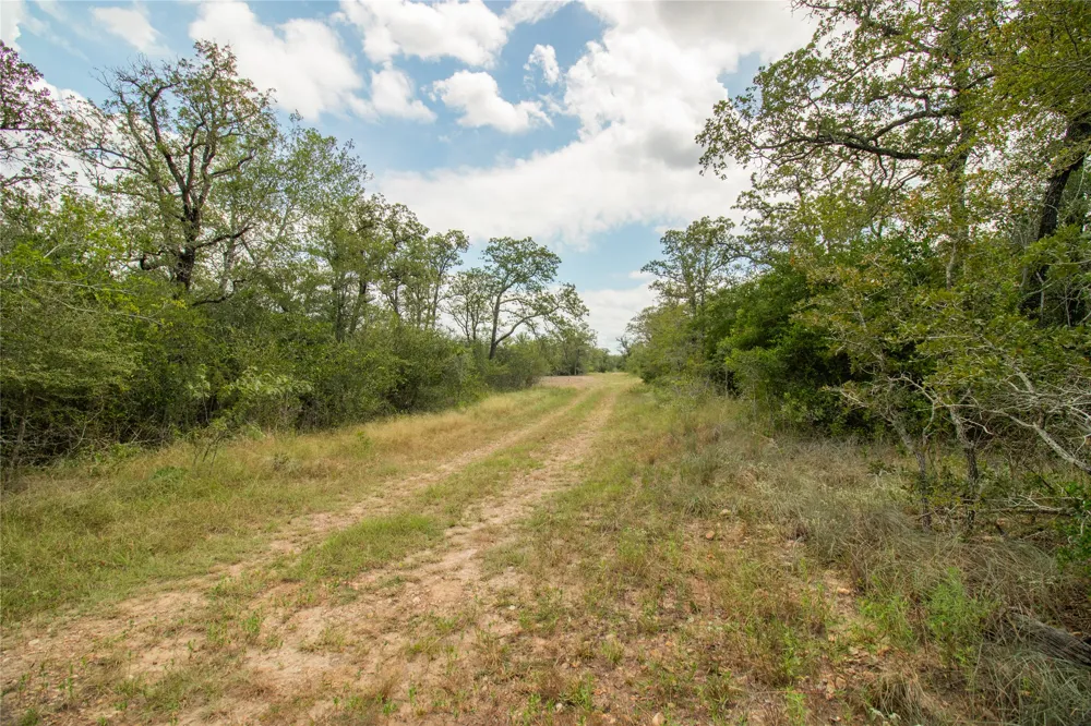 9057 Sycamore Shade Lane Kingsbury, TX 78155