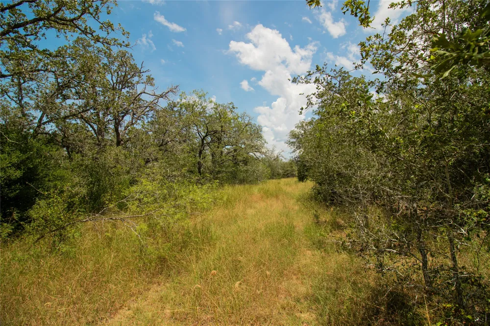 9057 Sycamore Shade Lane Kingsbury, TX 78155