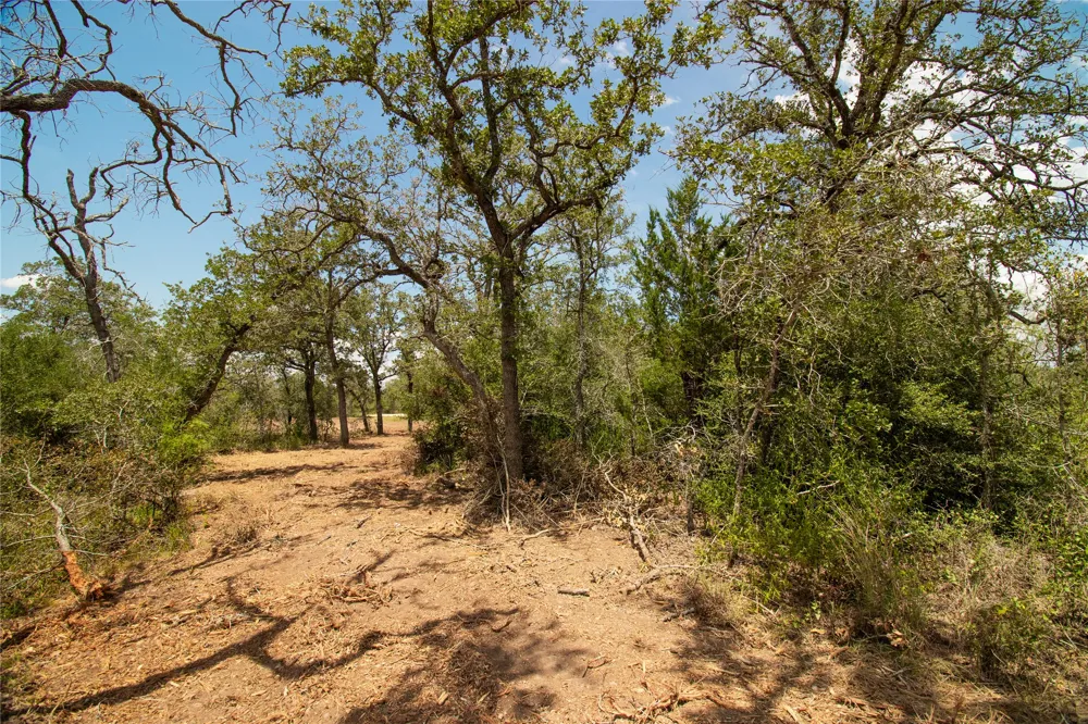 9057 Sycamore Shade Lane Kingsbury, TX 78155