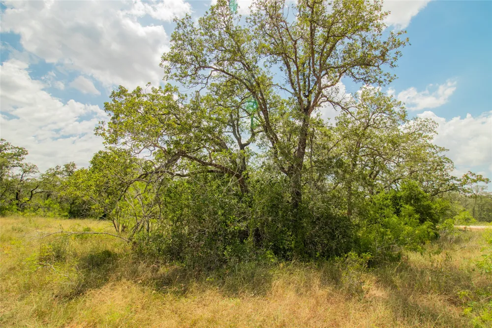 9057 Sycamore Shade Lane Kingsbury, TX 78155