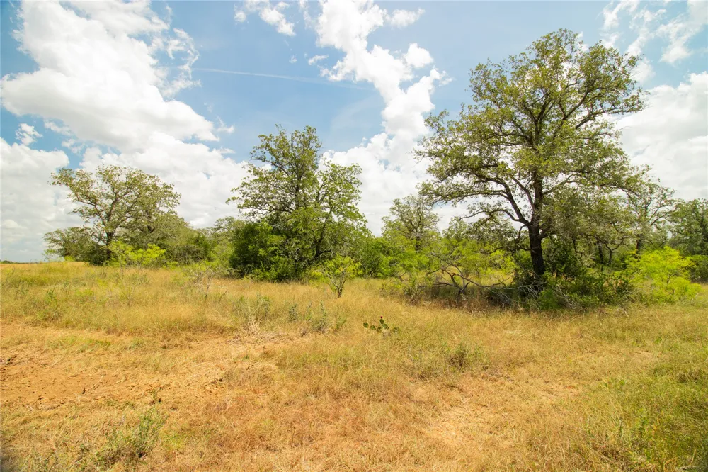 9057 Sycamore Shade Lane Kingsbury, TX 78155