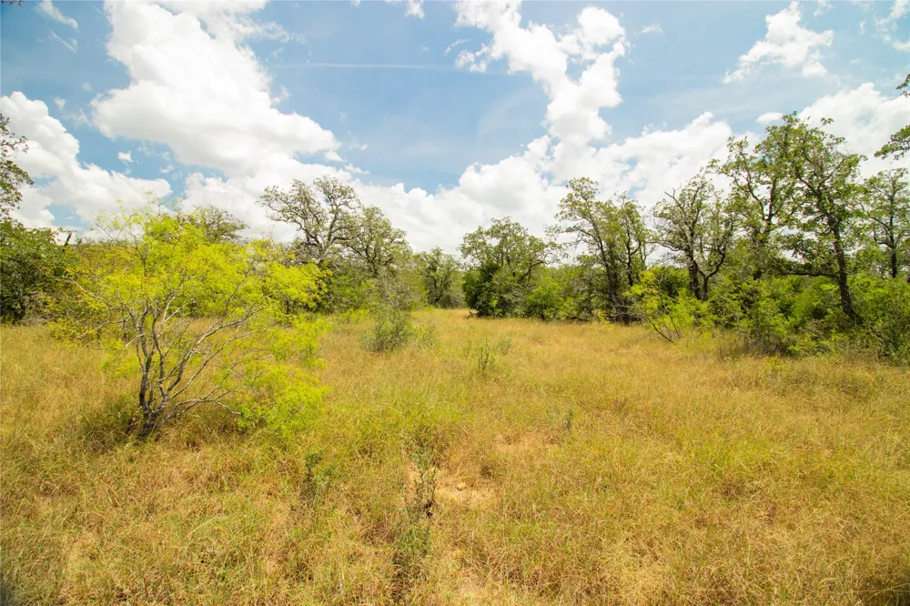 9057 Sycamore Shade Lane Kingsbury, TX 78155