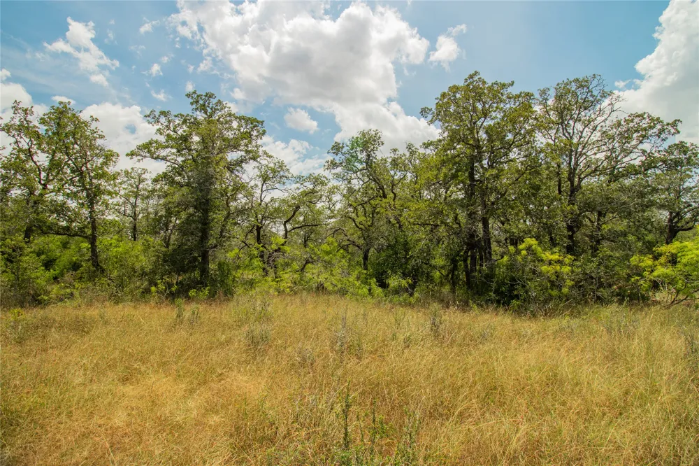 9057 Sycamore Shade Lane Kingsbury, TX 78155