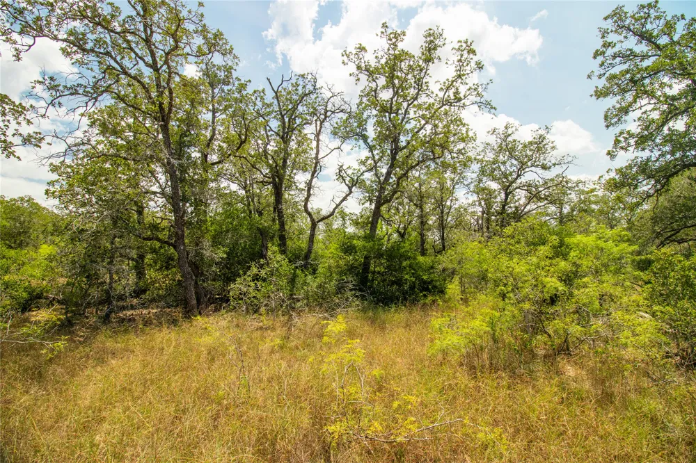 9057 Sycamore Shade Lane Kingsbury, TX 78155