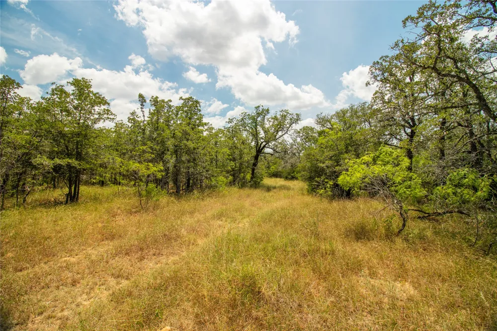9057 Sycamore Shade Lane Kingsbury, TX 78155