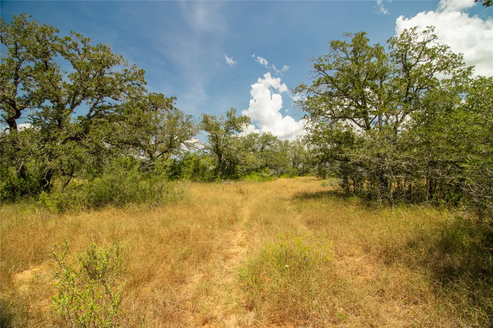 9057 Sycamore Shade Lane Kingsbury, TX 78155