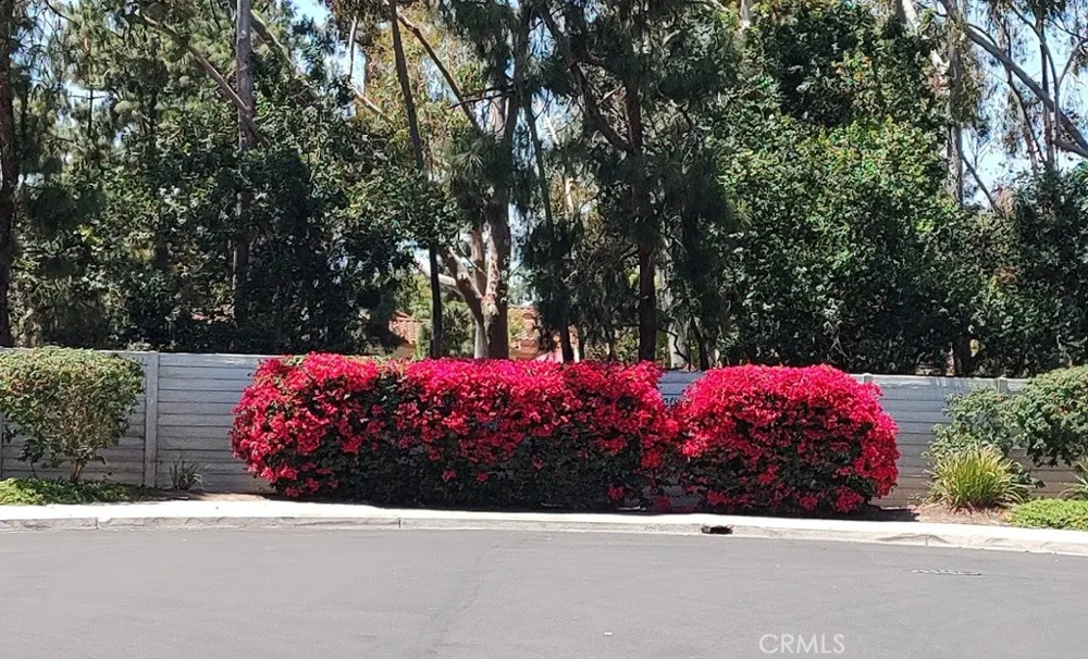 36 Woodleaf Irvine, CA 92614