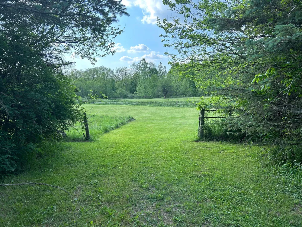 15300 Rome Road Manitou Beach, MI 49253