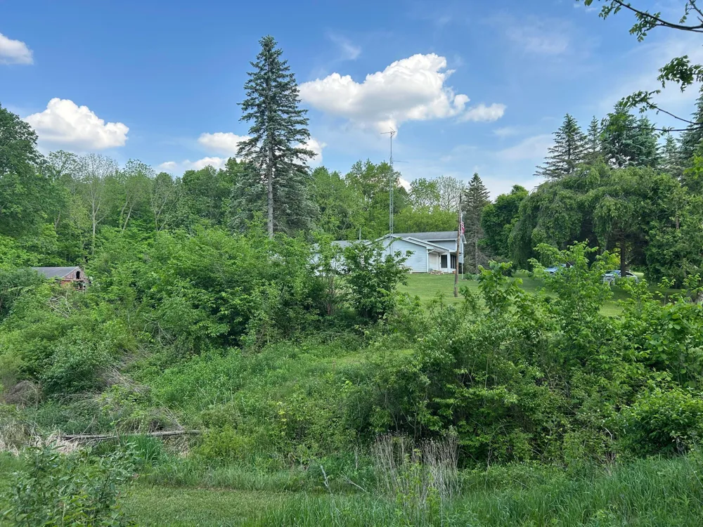 15300 Rome Road Rollin Township, MI 49253