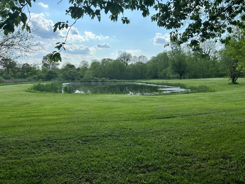 15300 Rome Road Rollin Township, MI 49253