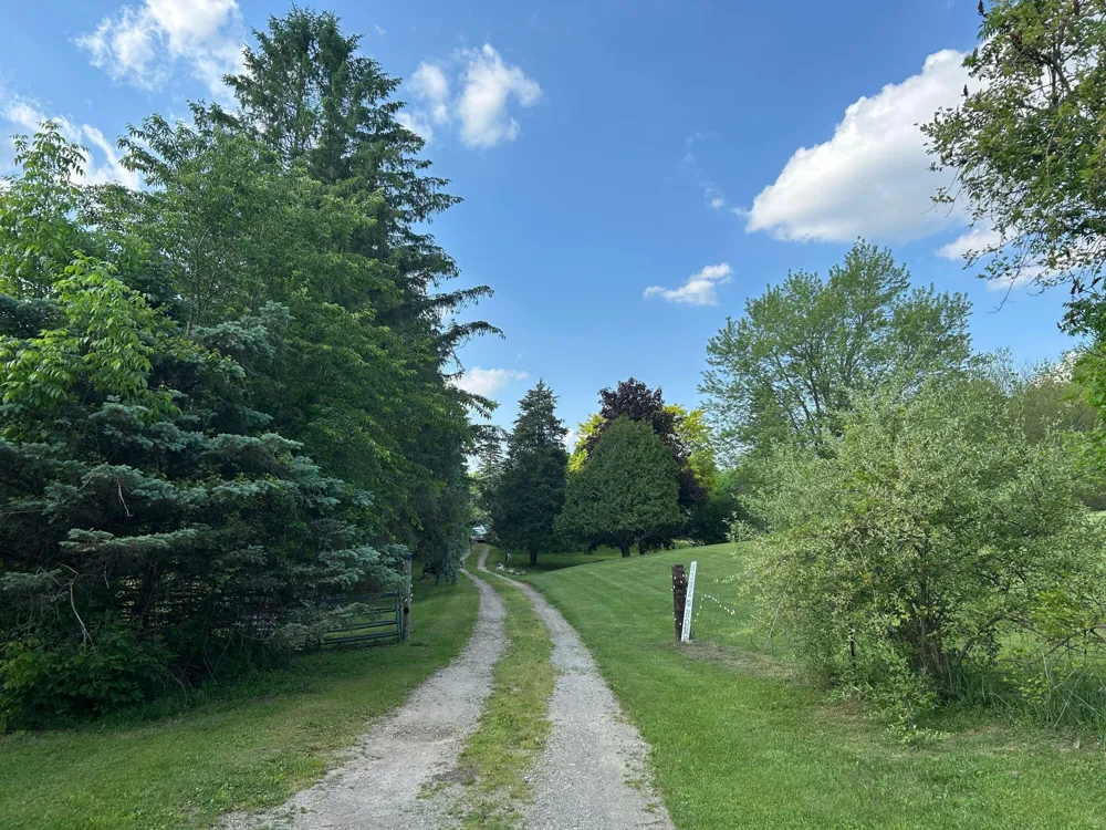 15300 Rome Road Rollin Township, MI 49253
