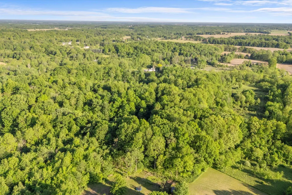 15300 Rome Road Rollin Township, MI 49253
