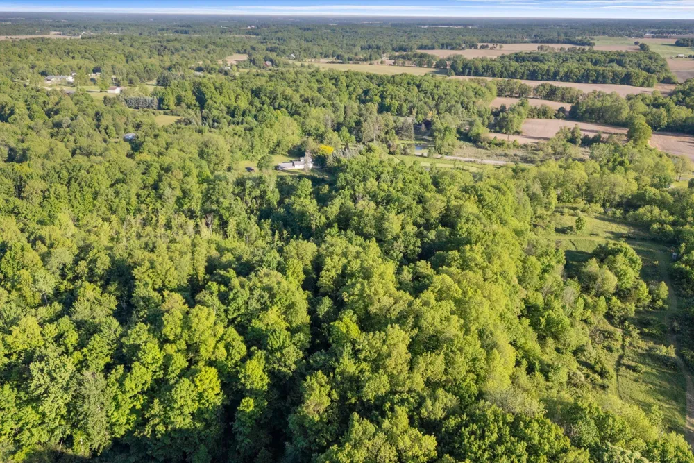 15300 Rome Road Rollin Township, MI 49253
