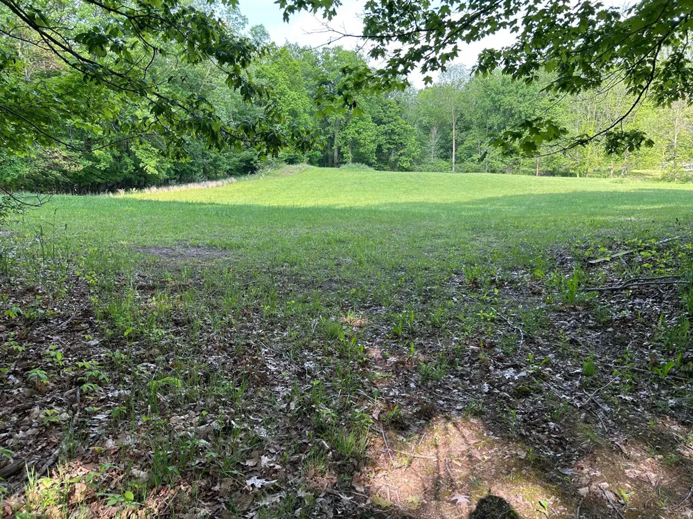 15300 Rome Road Rollin Township, MI 49253