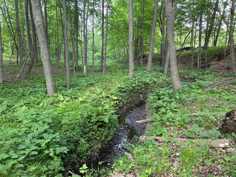 15300 Rome Road Rollin Township, MI 49253