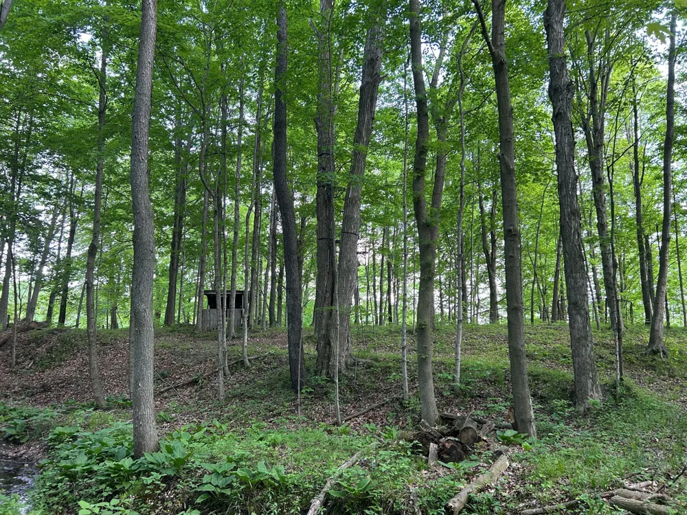15300 Rome Road Rollin Township, MI 49253