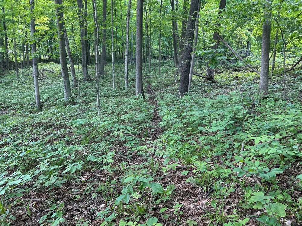 15300 Rome Road Rollin Township, MI 49253