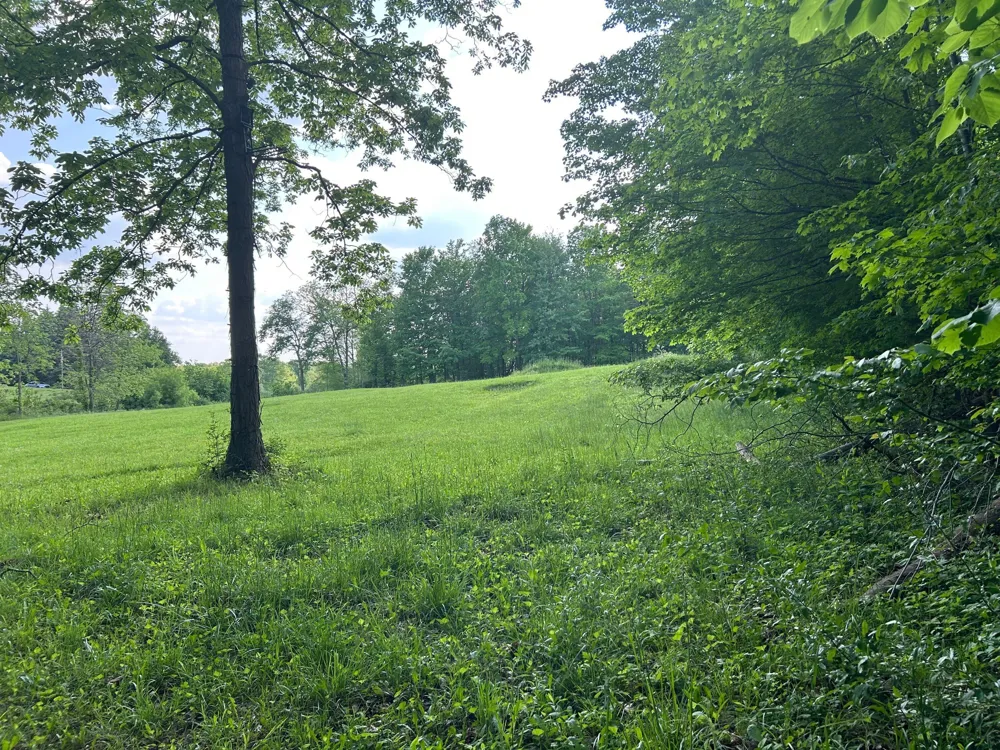 15300 Rome Road Rollin Township, MI 49253