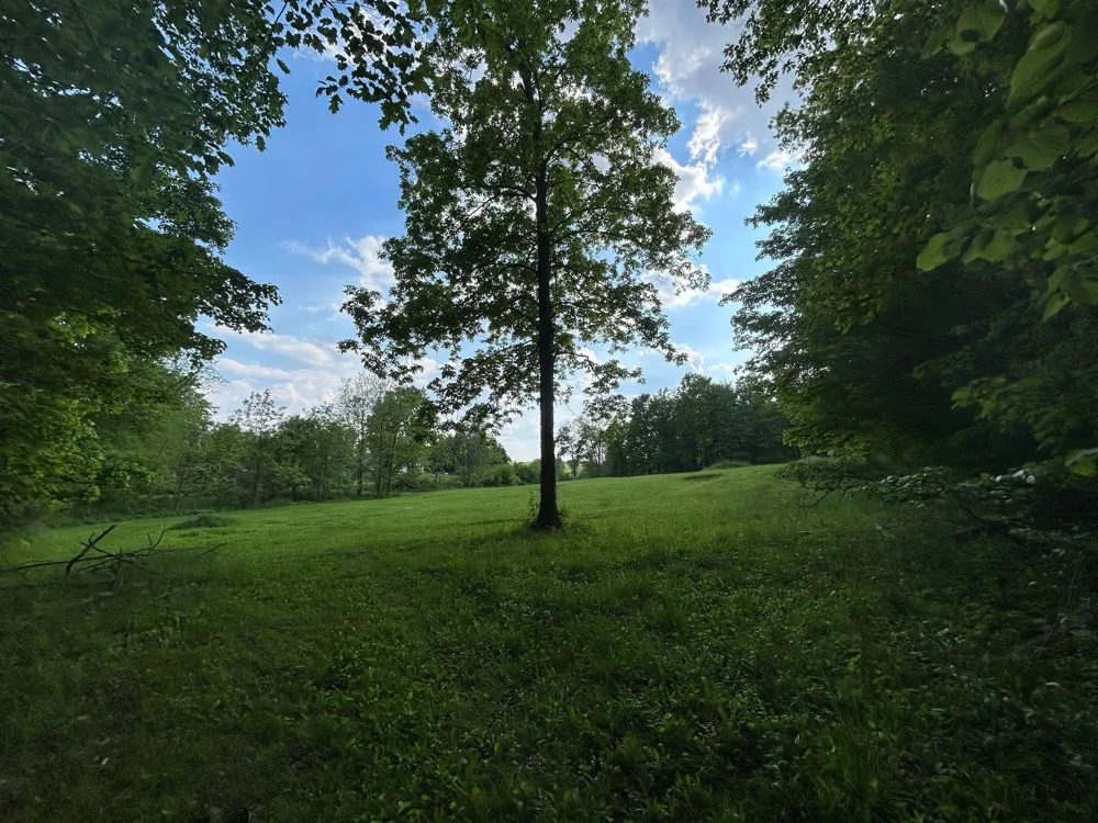 15300 Rome Road Rollin Township, MI 49253