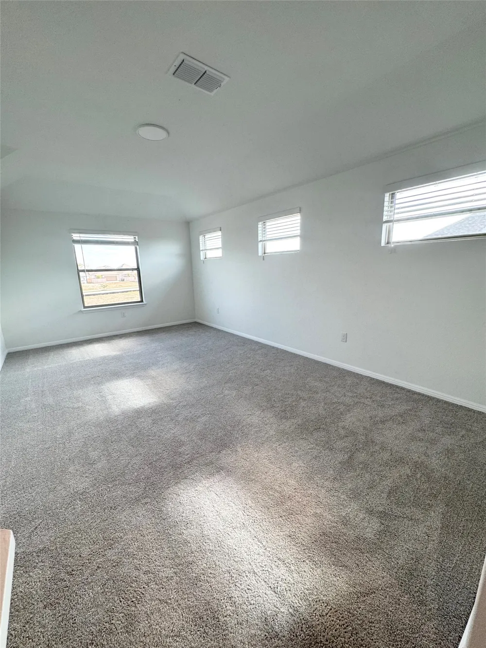 295 Young Street Buda, TX 78610