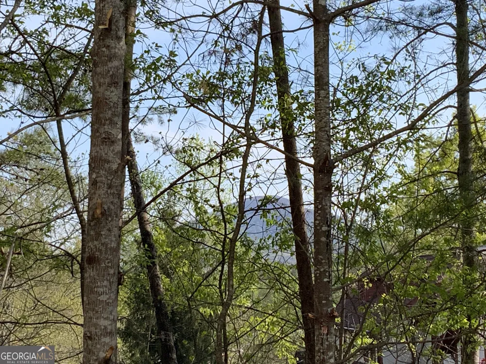 39B Sportarten Strasse Helen, GA 30545
