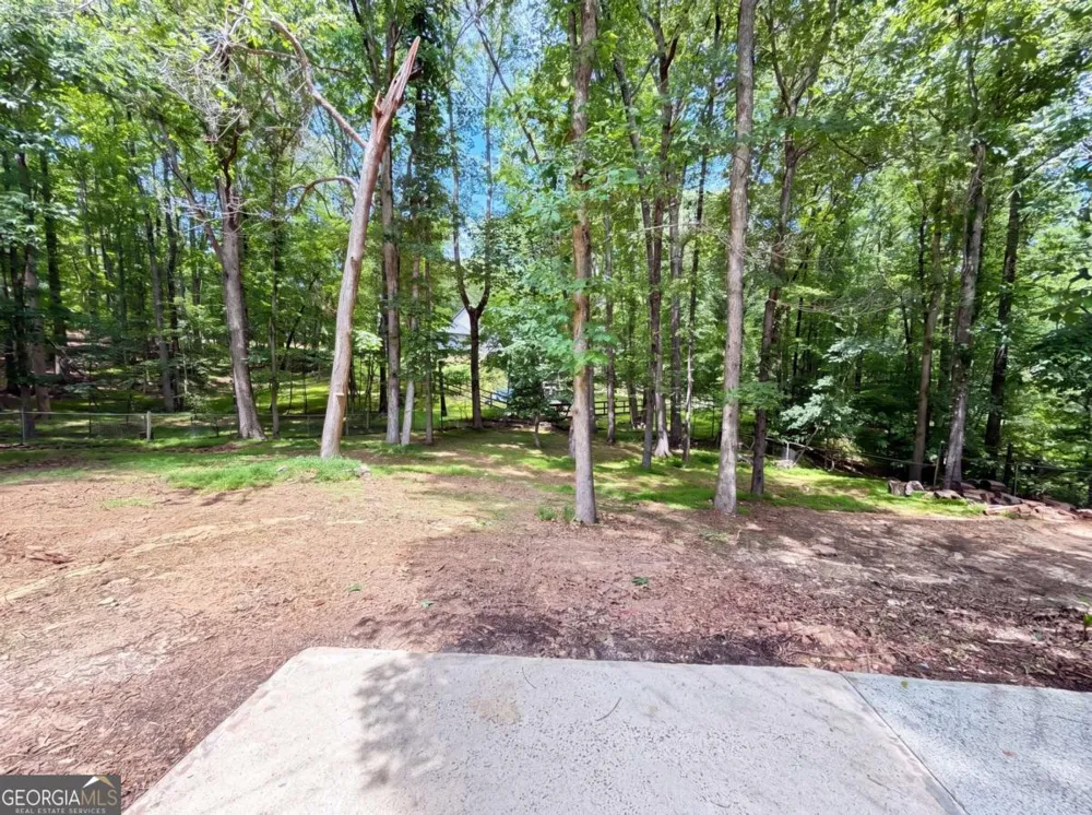 1121 Canvas Back DR Woodstock, GA 30189