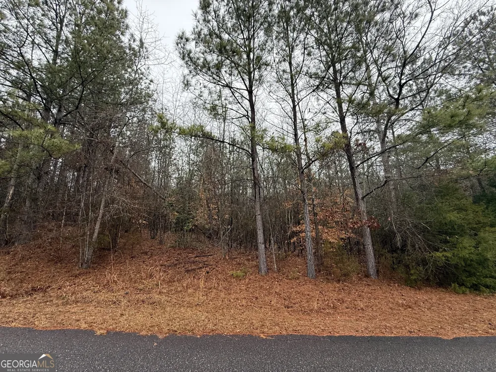2592 Omaha DR Elberton, GA 30635