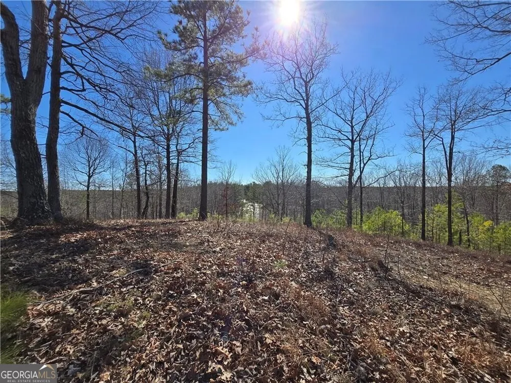 0 Brushy Mountain RD Rockmart, GA 30153