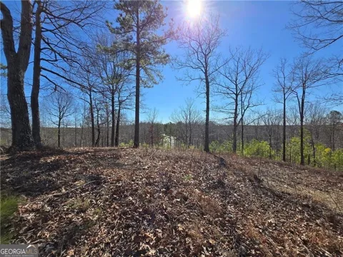 0 Brushy Mountain RD