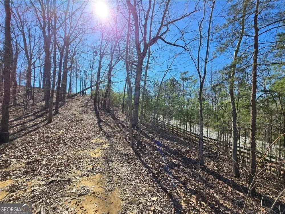 0 Brushy Mountain RD Rockmart, GA 30153