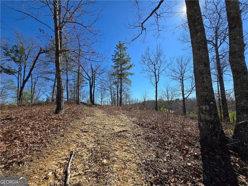 0 Brushy Mountain RD Rockmart, GA 30153