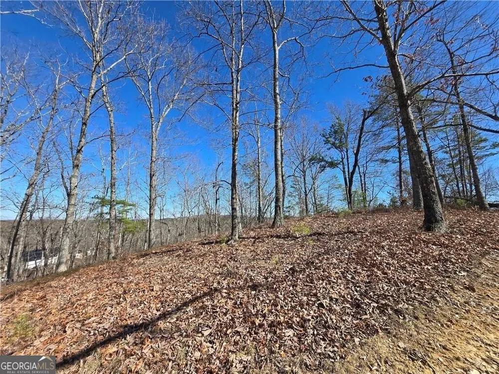 0 Brushy Mountain RD Rockmart, GA 30153