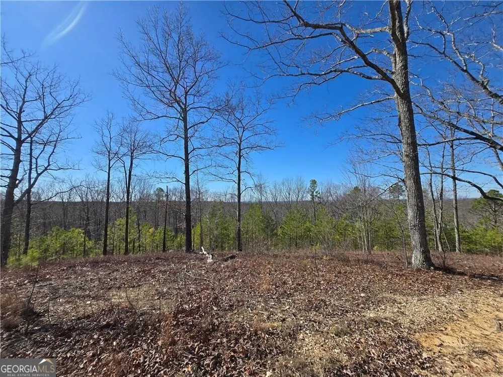 0 Brushy Mountain RD Rockmart, GA 30153