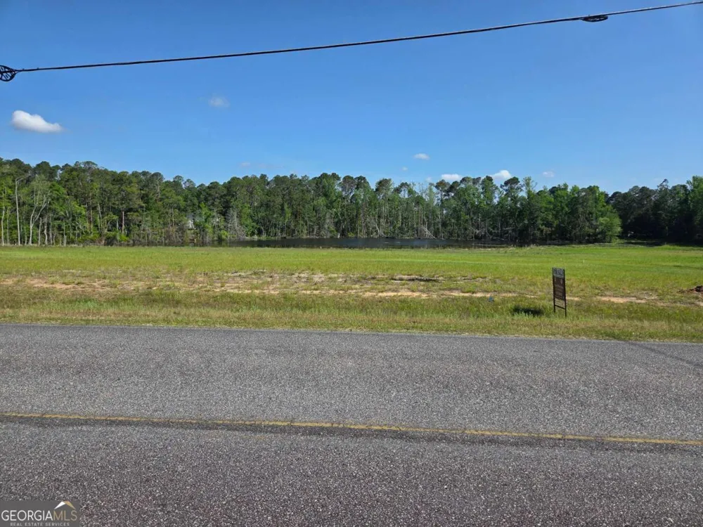 150 W Willow Lake DR Metter, GA 30439