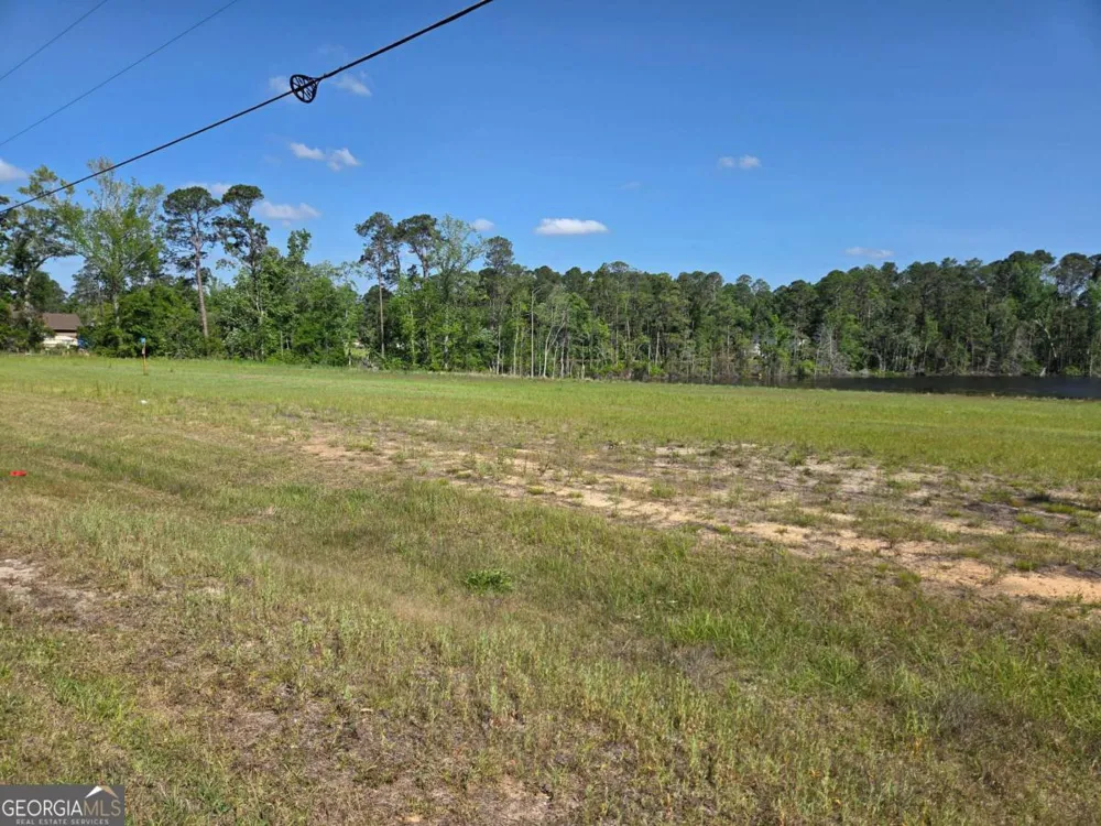 150 W Willow Lake DR Metter, GA 30439