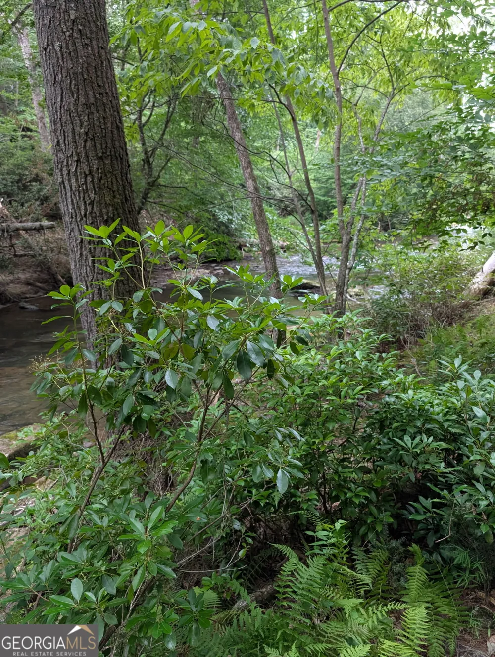 LOT 32 Byers RD Blairsville, GA 30512