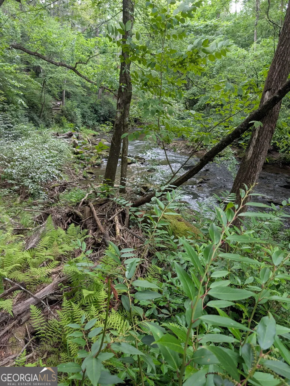 LOT 32 Byers RD Blairsville, GA 30512