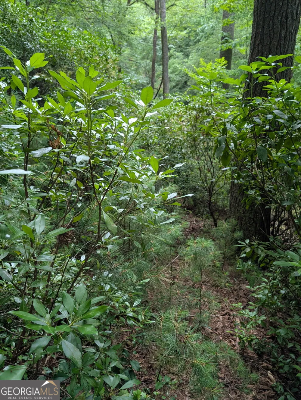 LOT 32 Byers RD Blairsville, GA 30512