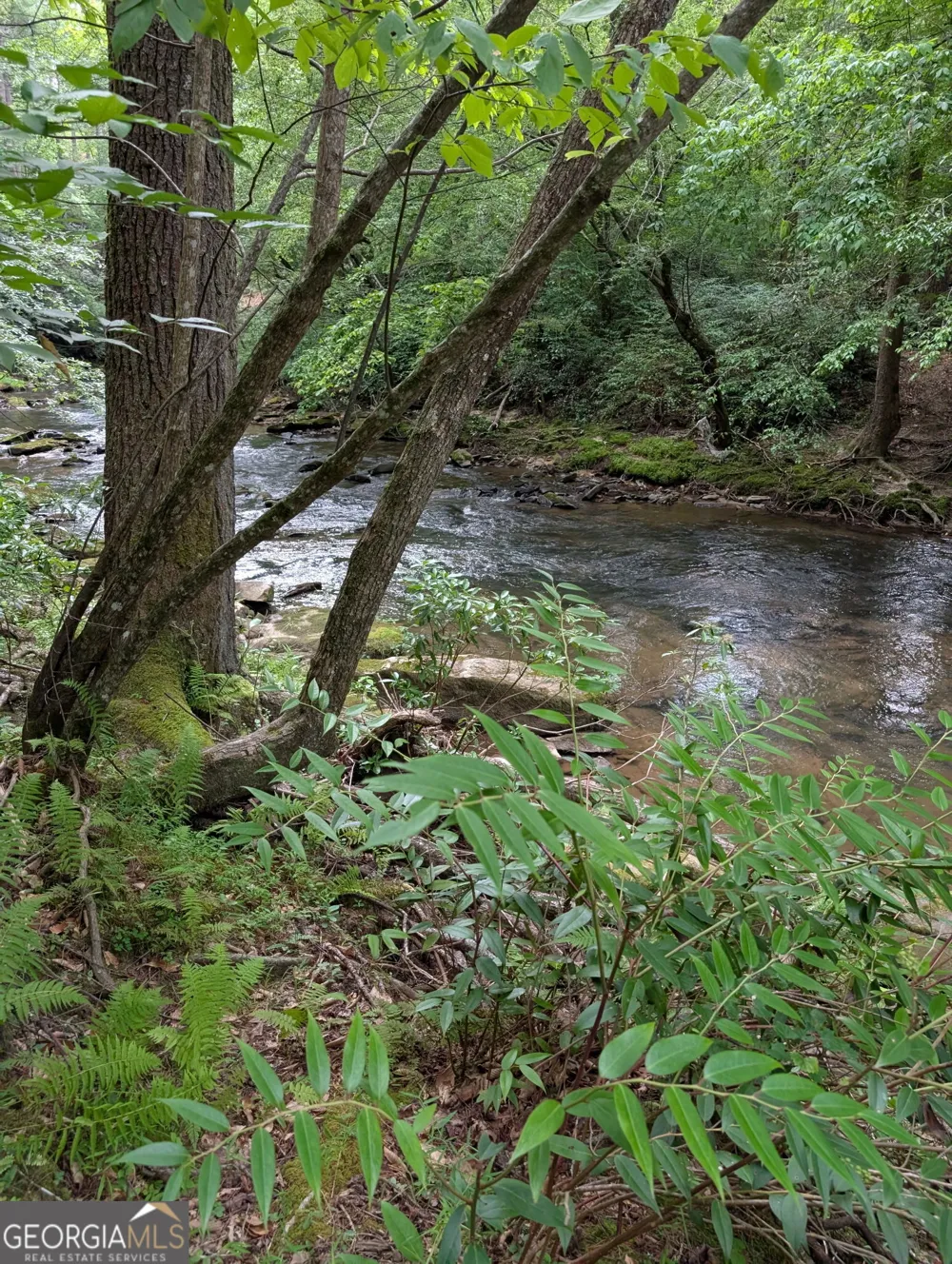 LOT 32 Byers RD Blairsville, GA 30512