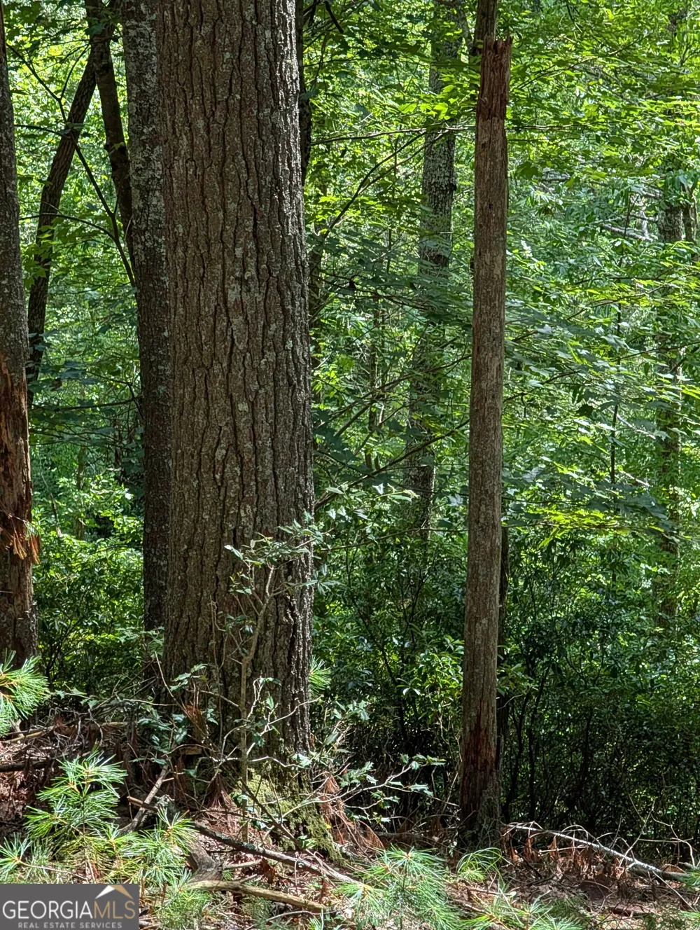 LOT 32 Byers RD Blairsville, GA 30512